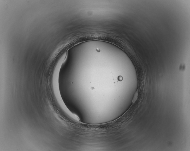 X0000111820736200908131522