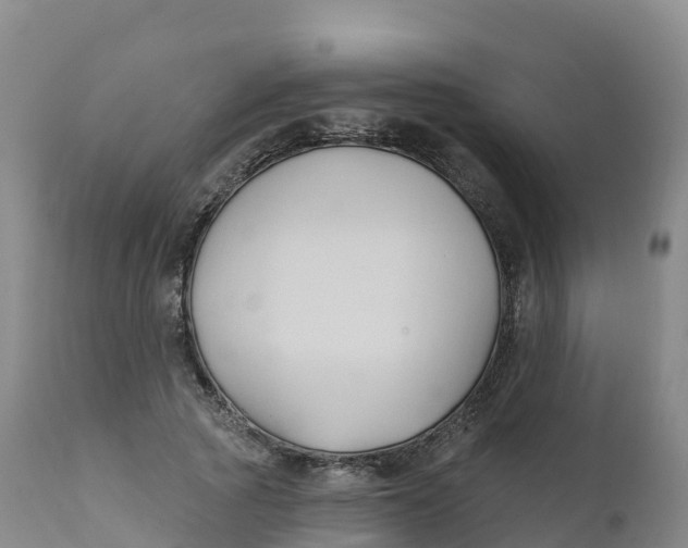 X0000111820737200908131522