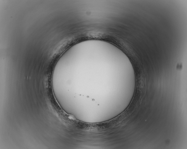 X0000111820738200908131522