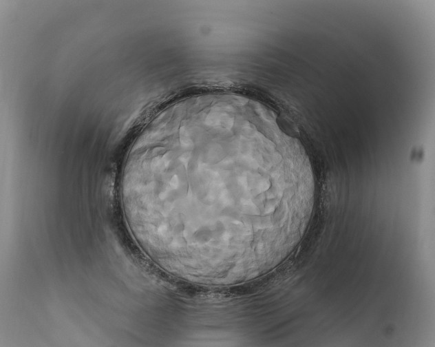 X0000111820739200908131522