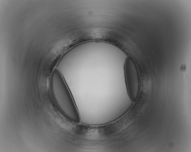 X0000111820740200908131522