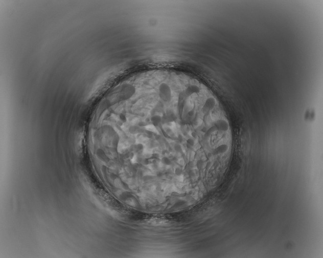 X0000111820742200908131522