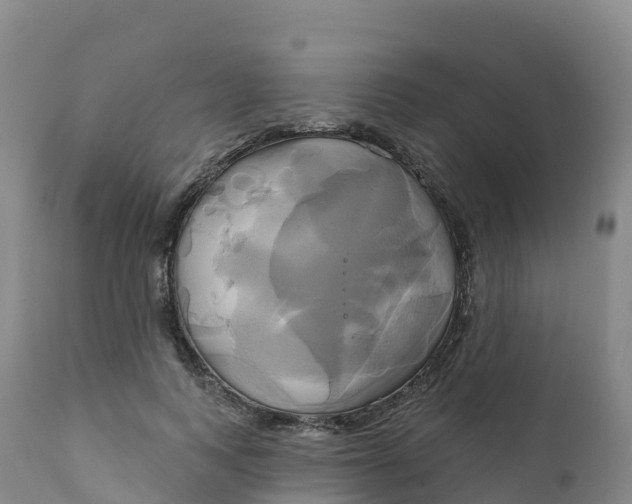 X0000111820743200908131522