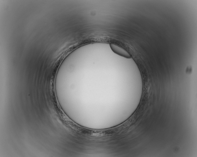 X0000111820744200908131522