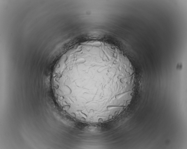 X0000111820745200908131522