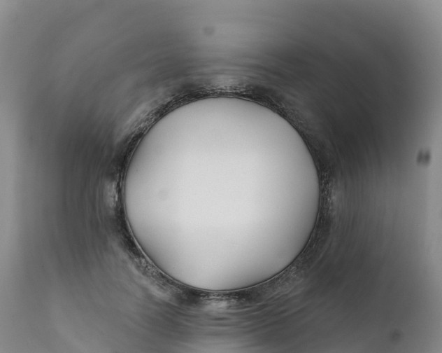 X0000111820746200908131522