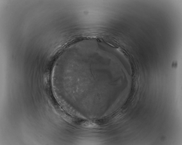 X0000111820747200908131522