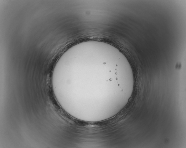 X0000111820748200908131522