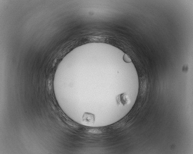 X0000111820749200908131522