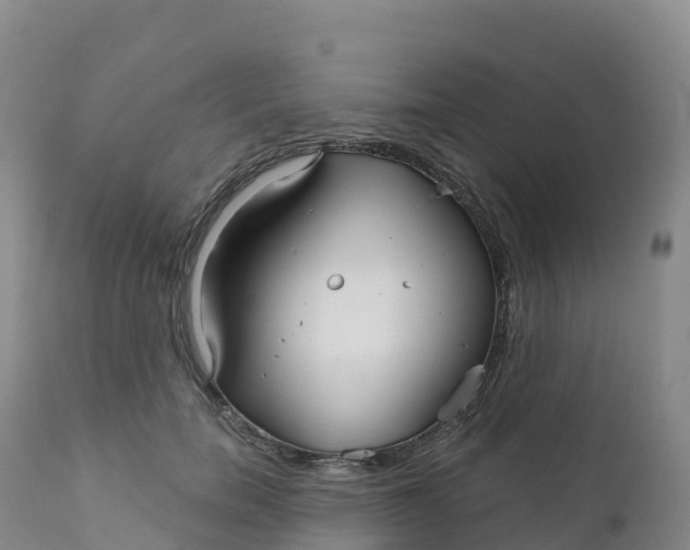 X0000111820750200908131522