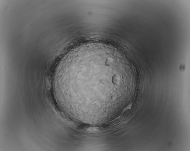 X0000111820751200908131522