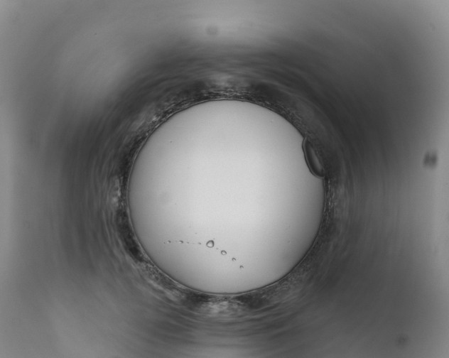 X0000111820752200908131522