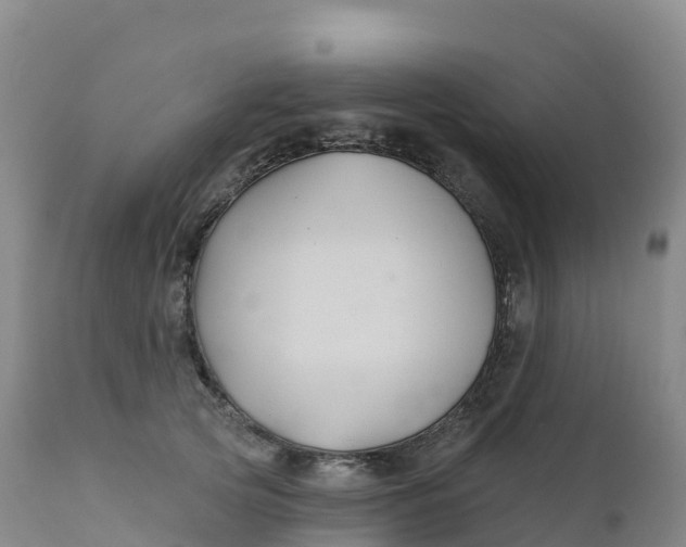 X0000111820753200908131523