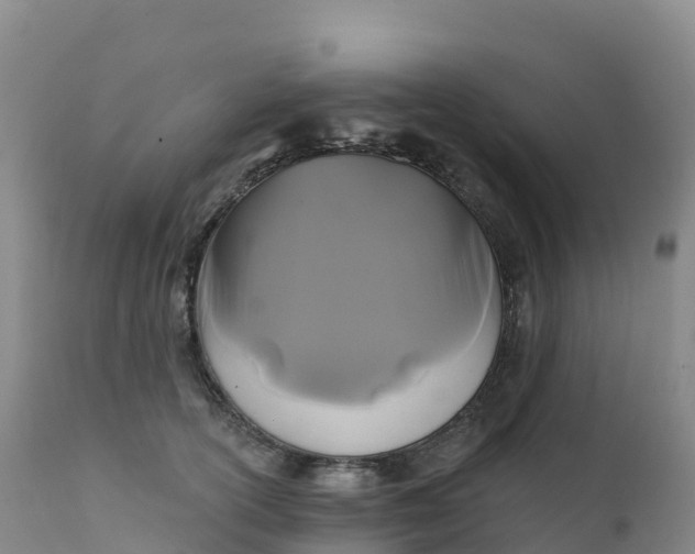 X0000111820754200908131523