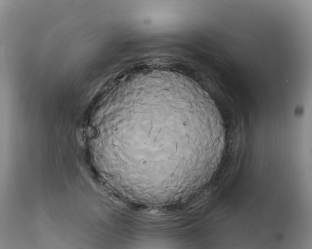 X0000111820755200908131523