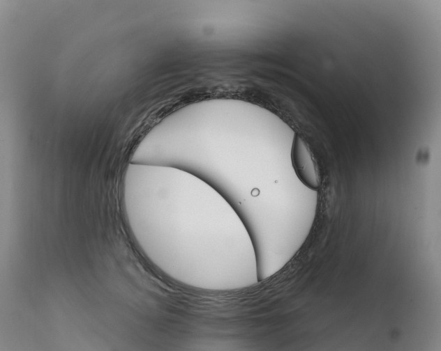 X0000111820756200908131523