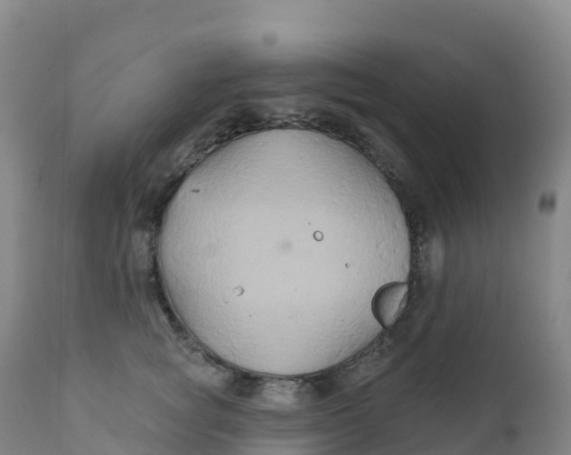 X0000111820757200908131523