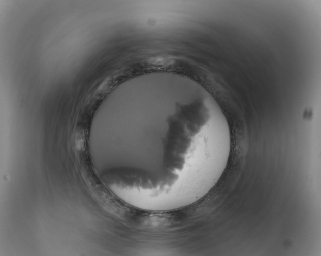 X0000111820758200908131523