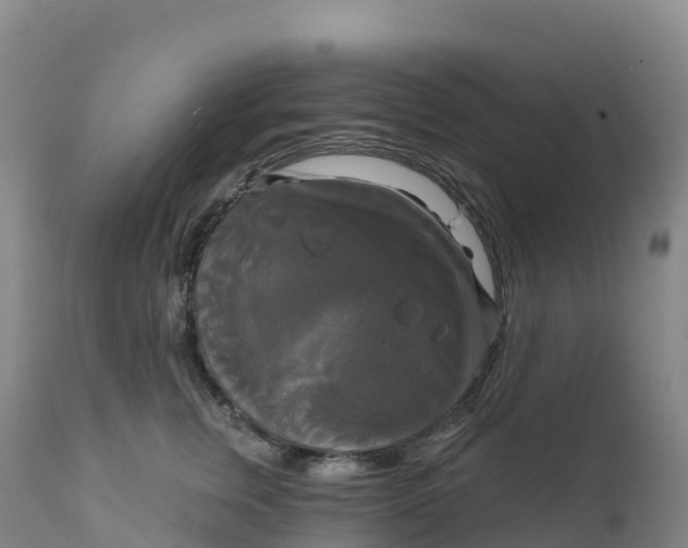 X0000111820759200908131523