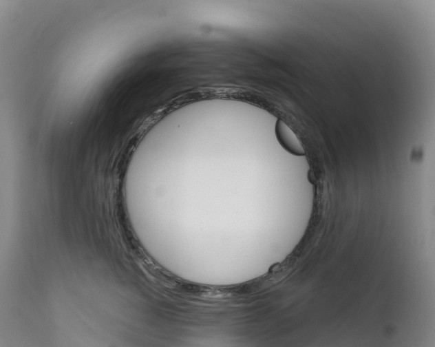 X0000111820760200908131523