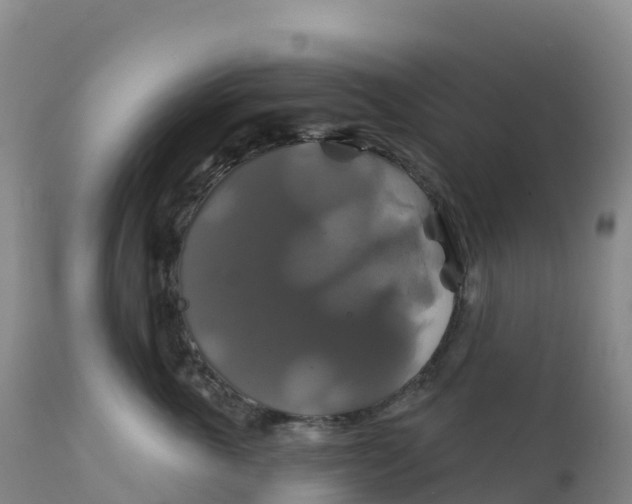 X0000111820763200908131523