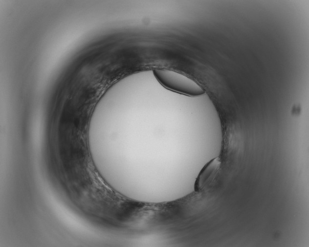 X0000111820764200908131523