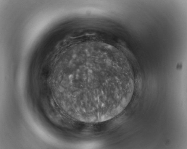 X0000111820765200908131523