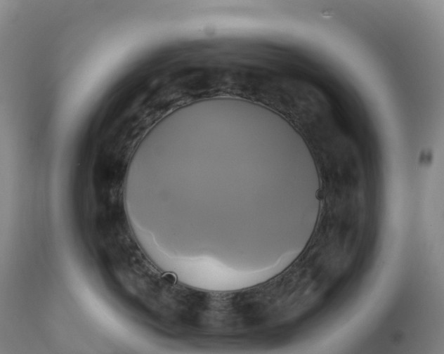 X0000111820766200908131523