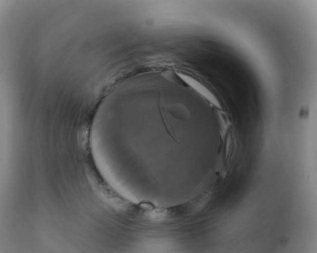 X0000111820767200908131523