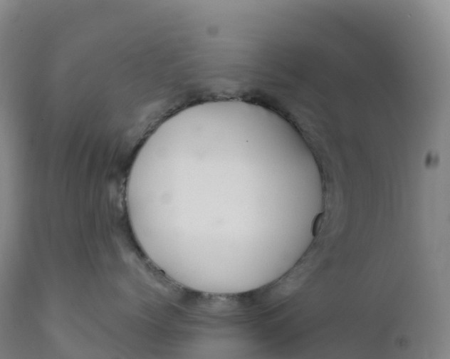 X0000111820768200908131523