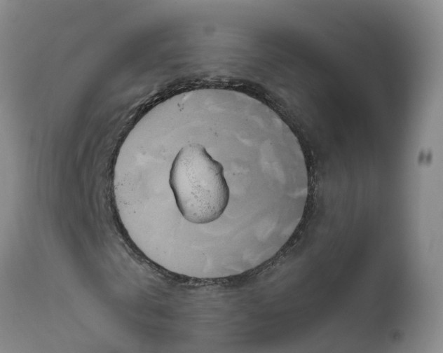 X0000111820769200908131522