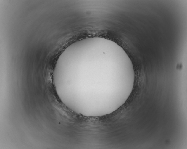 X0000111820770200908131522