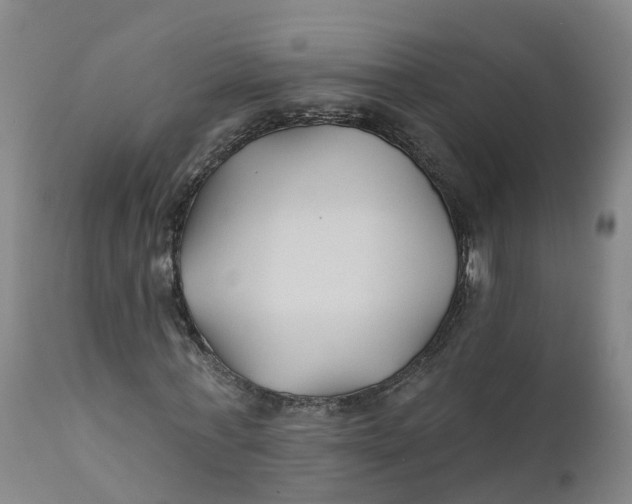 X0000111820771200908131522