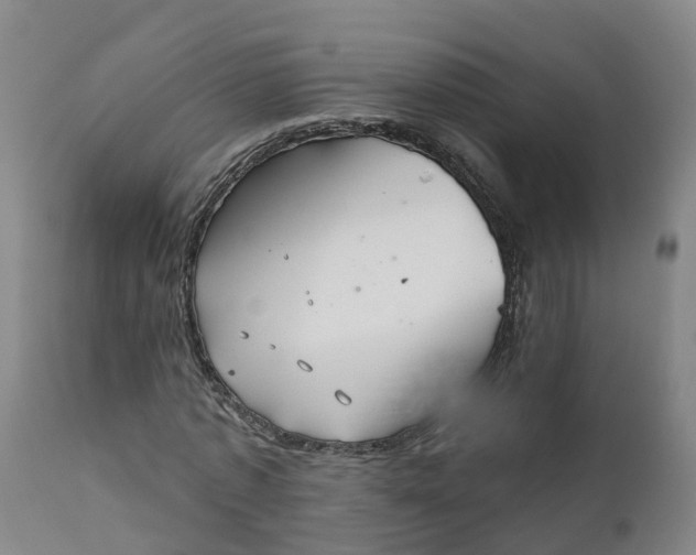 X0000111820773200908131522