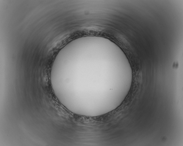 X0000111820774200908131522