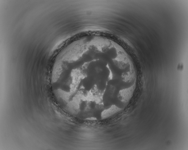 X0000111820775200908131522