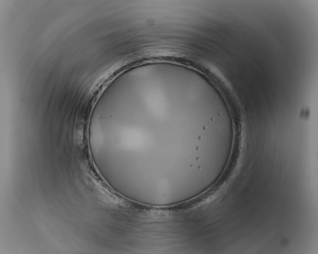 X0000111820777200908131522