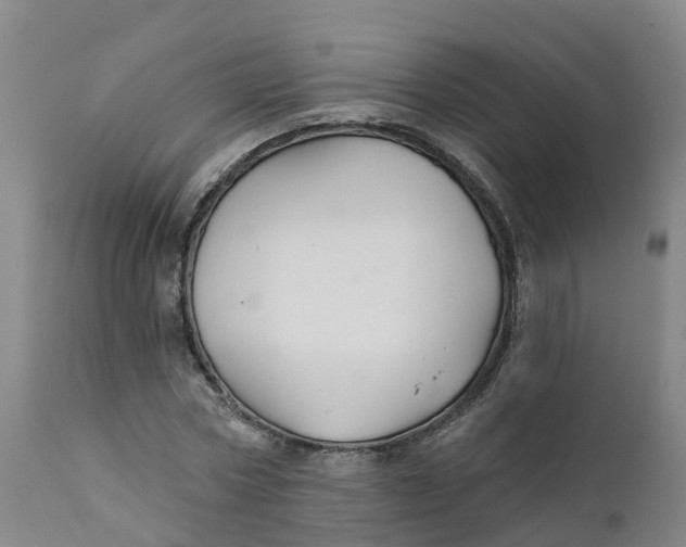 X0000111820778200908131522