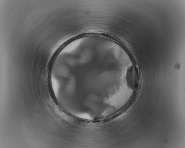 X0000111820779200908131522