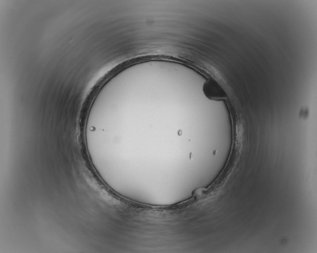 X0000111820780200908131522