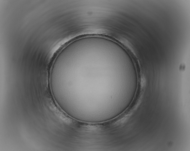 X0000111820781200908131522