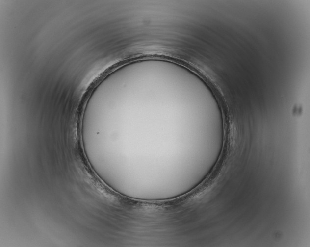 X0000111820782200908131522