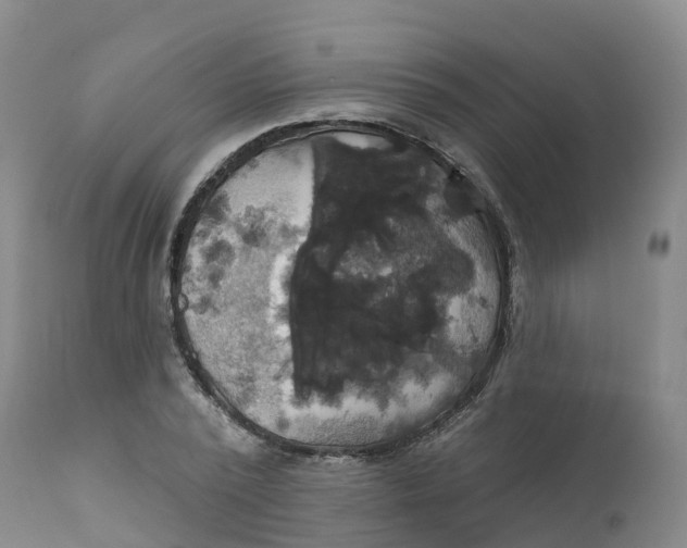 X0000111820784200908131522