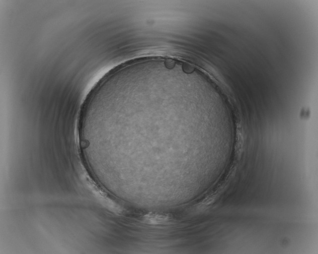 X0000111820788200908131522