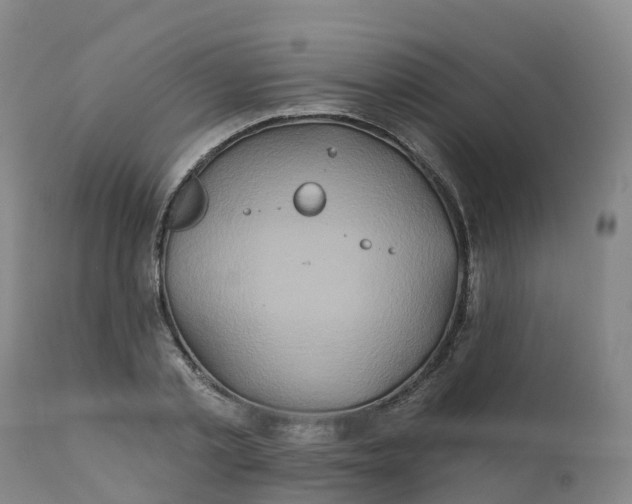 X0000111820789200908131522