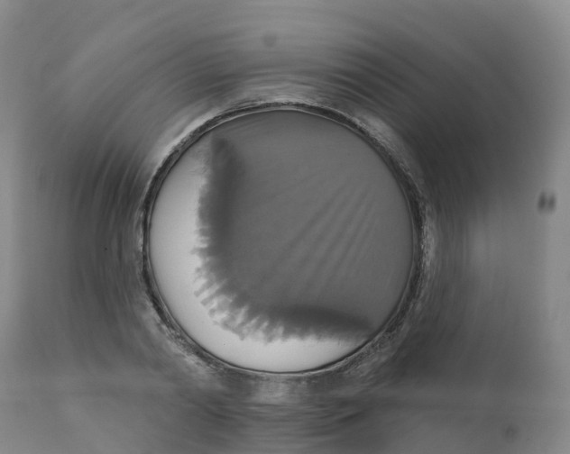 X0000111820790200908131522