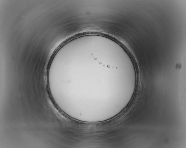 X0000111820791200908131522