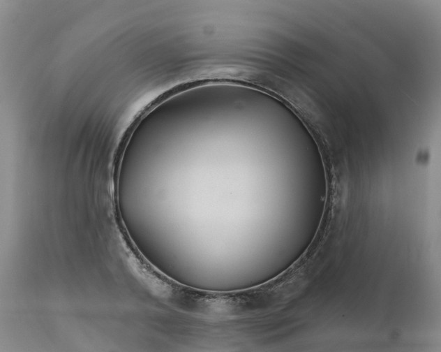 X0000111820792200908131522