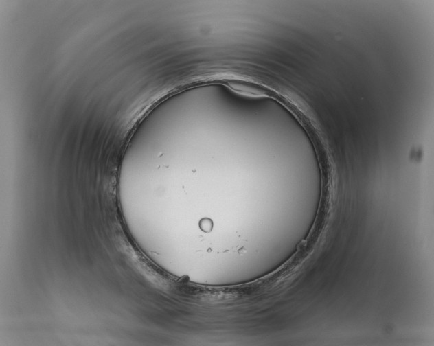 X0000111820793200908131522