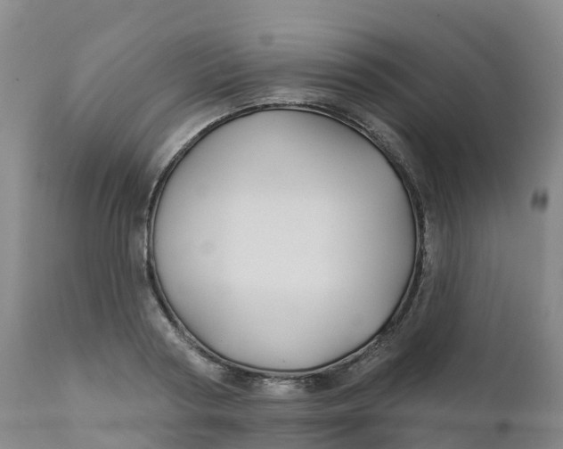 X0000111820794200908131522